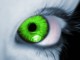 Greenanvy Greenanvy